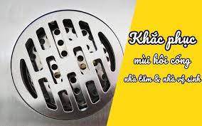 Giới thiệu chung về dịch vụ xử lý mùi hôi