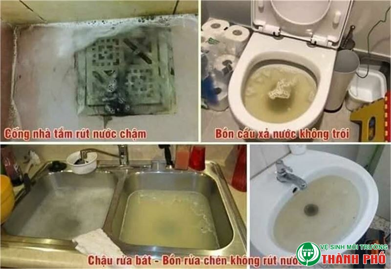 Thông Cống Nghẹt Xã Sông Xoài , TX Phú Mỹ