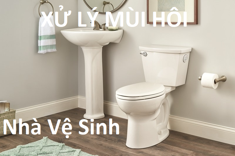 Xu ly muoi hoi nha ve sinh