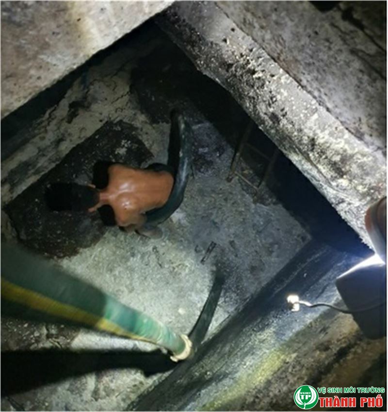 Thông Cầu Cống Nghẹt Thị xã Cửa Lò, Nghệ An